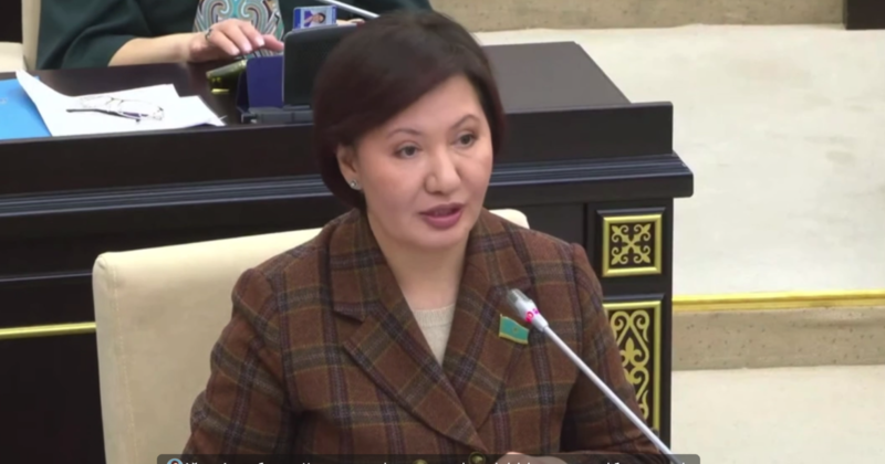 Депутат обозначила приоритетные направления лекарственной политики
